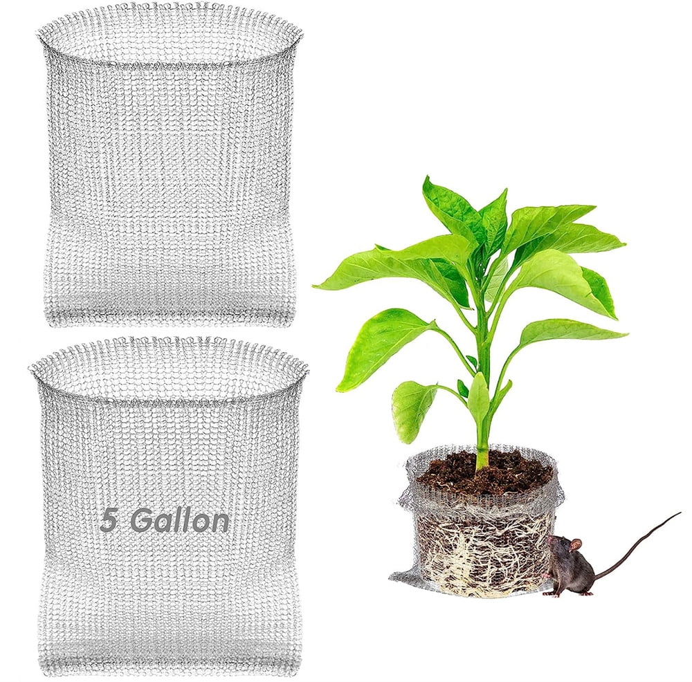 NOGIS Vole and Gopher Baskets Plant Root Guard Baskets Stainless Steel