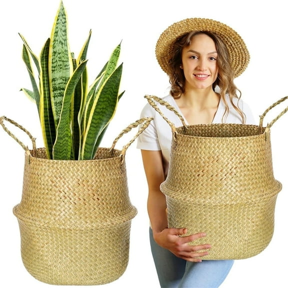 NOGIS Woven Plant Basket - Pack of 2, Wicker Belly Basket Planter Indoor with Plastic Liner and Handles, Natural Plant Pot for Fiddle Leaf Fig Tree, Snake Plant and Monstera (Large)