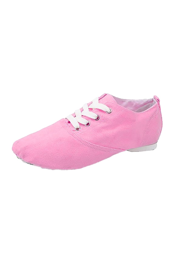 Chic Women'S Faux Suede Flats Designer Women'S Pointed Toe Flats Women's Canvas Dance Shoes Soft Soled Training Shoes Ballet Shoes Sandals Dance Shoes