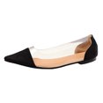 thumbnail image 1 of NOKIO Women's Flats Shoes Pointed Toe Flats Ballet Flats Shoes for Women Transparent Flats Slip On Flats Ballerina Flats Comfortable Dress Shoes Mesh Flats for Women Walking Flats Casual Shoes, 1 of 9