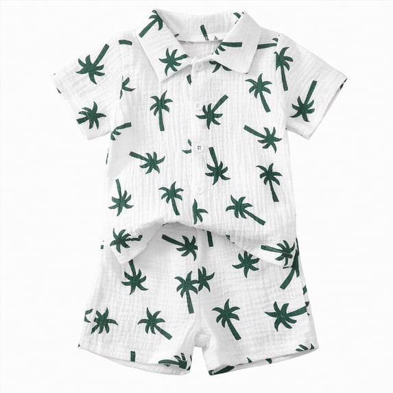 NOLDARES Baby Boy Summer Casual Clothes Short Sleeve Graphic T-Shirt Shorts 2pc Outfit Blazer,2-3 Y