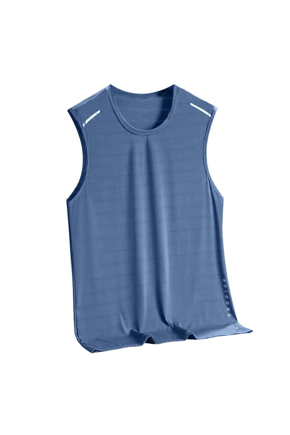 Men's Classical Workout Sleeveless Tank Tops Lightweight Muscle Tees for Casual Gym Beach Fitness(Blue,L)