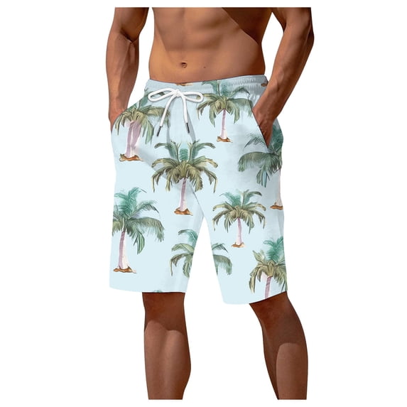 NOLDARES Men's Sportwear Swim Trunks Quick Dry Board Shorts with Lining(Sky Blue,XXL)