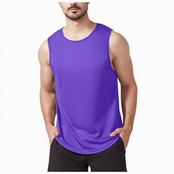 NOLDARES Mens Sleeveless Tank Tops Relaxed Fit Tees for Gym Yoga Casual Daily(Purple,M)