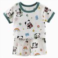 thumbnail image 1 of NOLDARES Newborn Baby Boy Clothes 2pcs Crewneck Short Sleeve Round Neck Top Drawstring Shorts Dinosaur Pattern Outfits(AG,12-18 M), 1 of 6