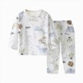 thumbnail image 1 of NOLDARES Toddler Baby Boy Fall Clothes Long Sleeve Sweatshirts Pants Set Infant Winter Outfits(M546-Sky Blue), 1 of 4