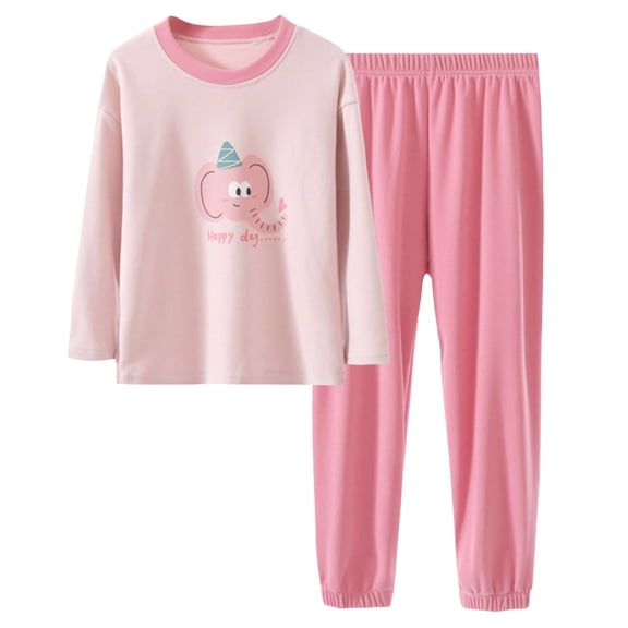 NOLDARES Toddler Baby Girl Boy Clothes 2pcs Fall Winter Outfits Long Sleeve Pullover Sweatshirt Casual Pants Graphic Print Clothing Set(Pink,14-15 Y)