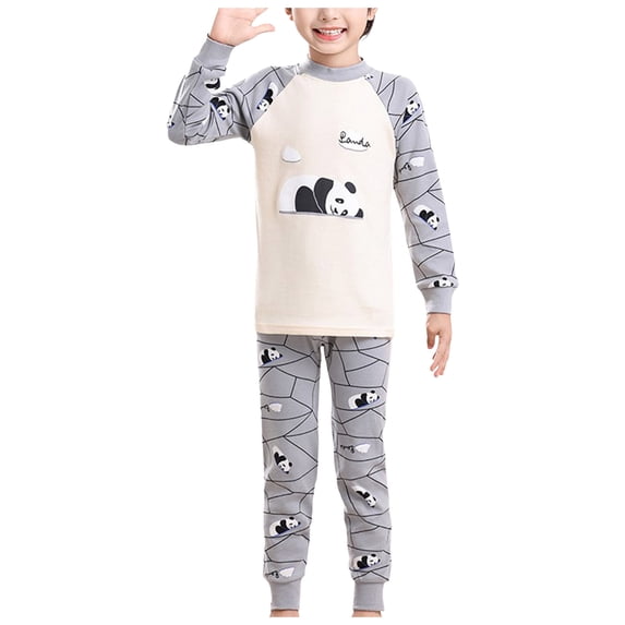 NOLDARES Toddler Baby Girl Boy Clothing Set 2 Piece Long Sleeve Graphic T Shirt and Pull on Pants Soft Cotton Print Fall Winter Outfits Clothes(Grey,3-4 Y)