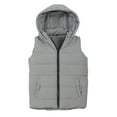 thumbnail image 1 of NOLDARES Toddler Baby Girl Boy Fleece Hooded Jacket Vest Hoodie Sleeveless Waistcoat Warm Jacket Outwear with Pocket(Light Gray,11-12 Years), 1 of 4