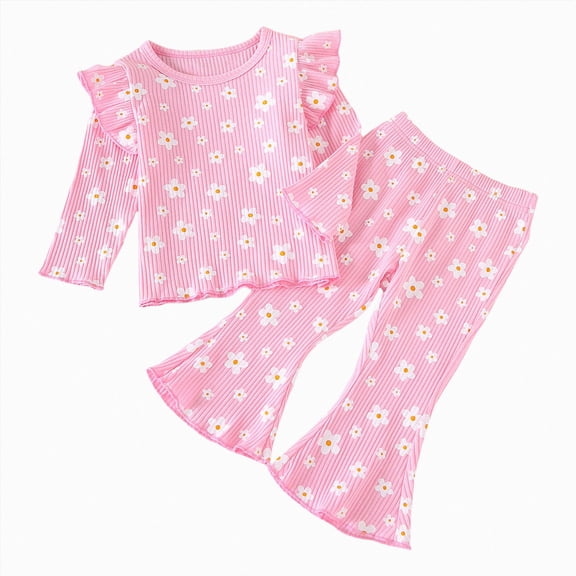 NOLDARES Toddler Baby Girl Cute Clothes Set 2 Piece Long Sleeve Sweatshirt and Joggers Print Outfits Clothing Fall Winter(Pink,2-3 Y)