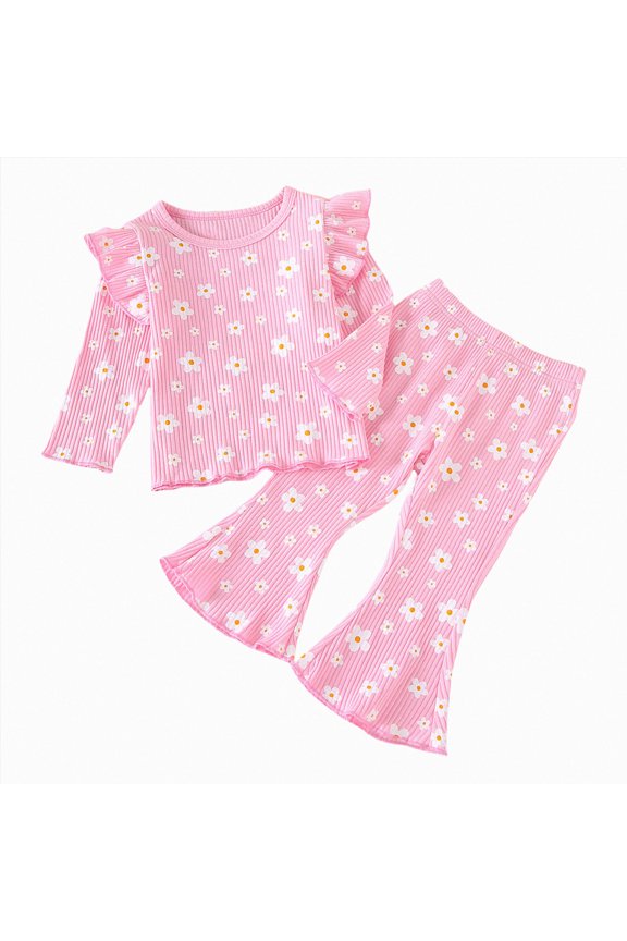 Toddler Baby Girl Cute Clothes Set 2 Piece Long Sleeve Sweatshirt and Joggers Print Outfits Clothing Fall Winter(Pink,2-3 Y)