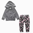 thumbnail image 1 of NOLDARES Toddler Baby Girl Fall Winter Clothes Printed Hoodie Sweatshirt And Pants 2pcs Sweatsuit Outfit(T215-Grey), 1 of 4