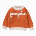 thumbnail image 1 of NOLDARES Toddler Baby Halloween Outfit Boy Girl Pumpkin Sweaters Crewneck Pullover Sweater Long Sleeve Sweater Fall Clothes,A140-Orange, 1 of 7