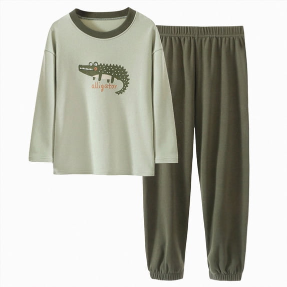NOLDARES Toddler Boys Clothes Dinosaur Print 6 12 18 24 Months 3T 4T Outfits Long Sleeve Pullover Jogger Pant 2PC Sets Size:5-6 Y,Green