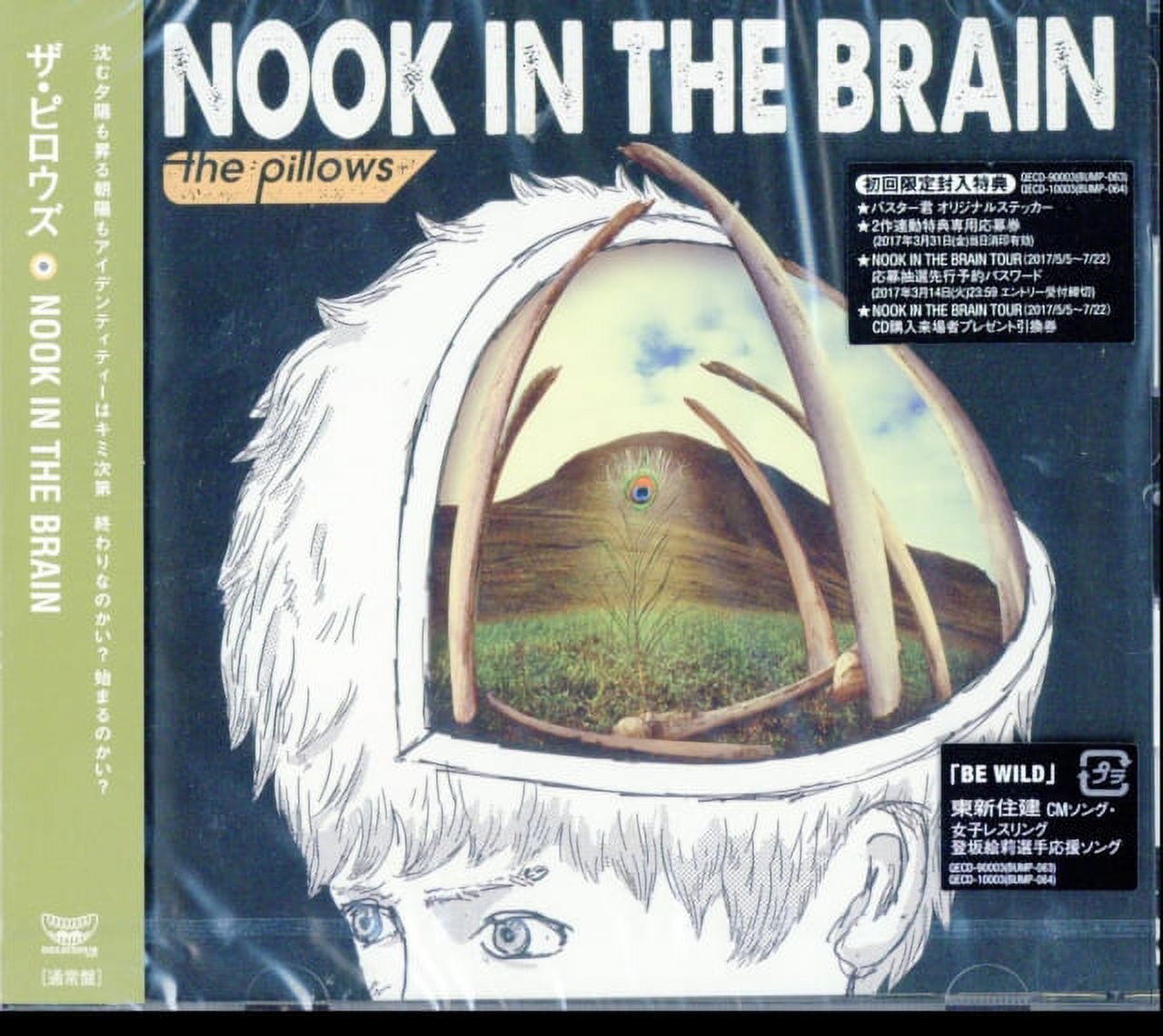 PILLOWS - Nook In The Brain (Limited) - Amazon.com Music