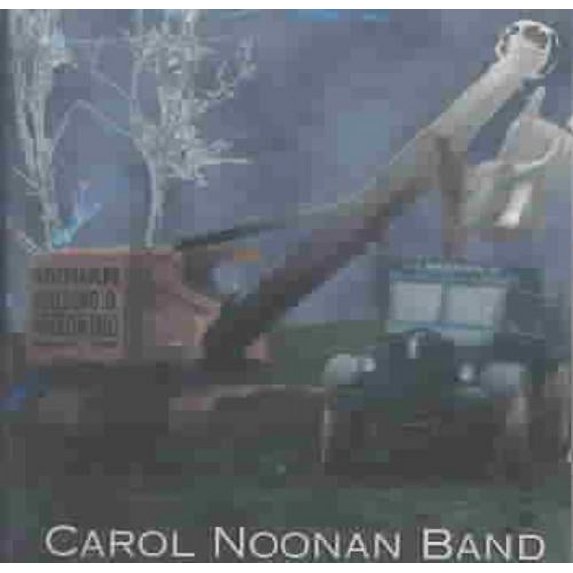 NOONAN BUILDING & WRECKING