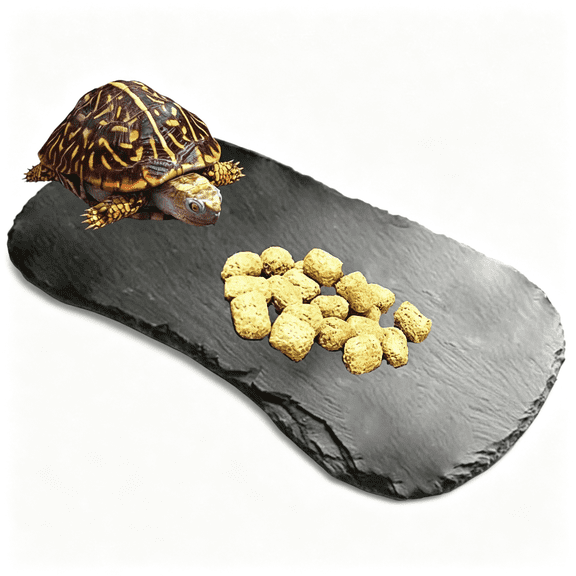 NORIZF Reptile Basking Platform,11X5.5 Tortoise Rock Plate Feeding Food Bowl Dish Feeding Slate Turtle Bathing Resting Platform for Lizard Gecko Bearded Dragon Chameleon Snake Frog