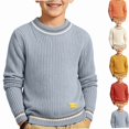thumbnail image 1 of NORO ARK Kids Sweater (0-11 Years) Thickened Knitted High Collar Long Sleeved Acrylic Light Blue Size 4T, 1 of 6