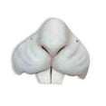 thumbnail image 1 of NOSE-BUNNY, 1 of 2