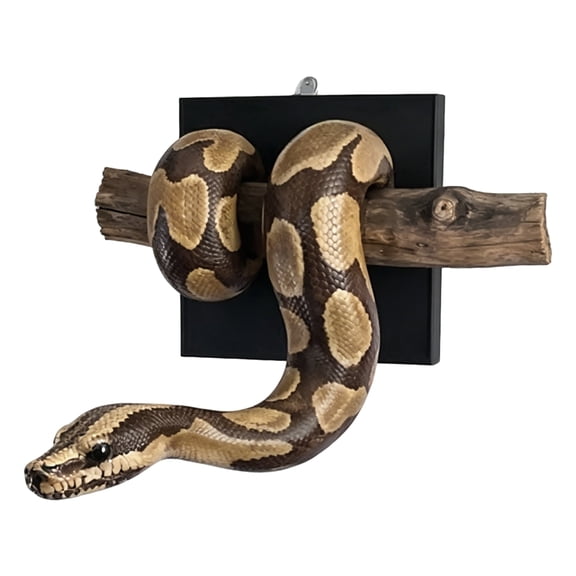 NOUGFVZP Ball Python on a Branch Wall Sculpture, Realistic Snake Wall Decor, Resin Python Hanging Wall Art, 3D Snake Statue for Living Room Bedroom Home Decor
