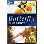 NOVA Butterfly Blueprints DVD, PBS Direct, Documentary