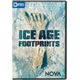 thumbnail image 1 of NOVA: Ice Age Ghost Tracks (DVD), PBS (Direct), Documentary, 1 of 1