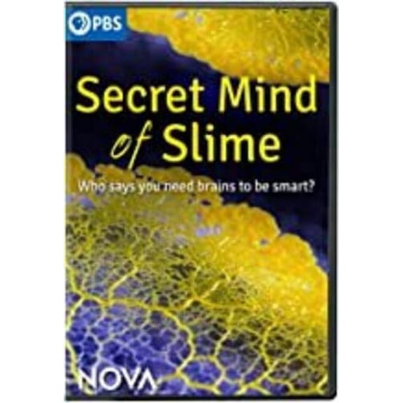 NOVA: Secret Mind of Slime (DVD), PBS (Direct), Documentary