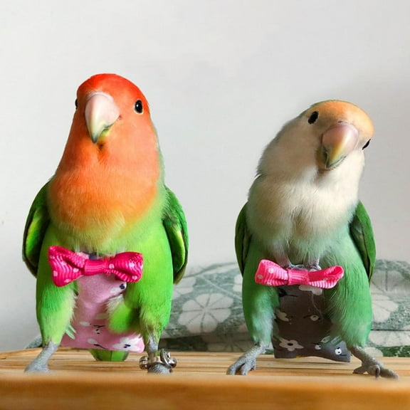 NOVELAR 4-Piece Bird Diaper Set, Soft Fabric with Tail Opening, Ideal for Daily Use, Washing, and Changing for Pet Parrots