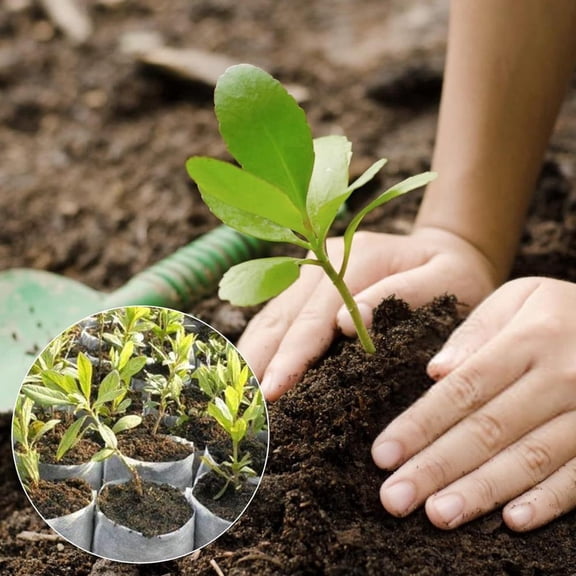 NOVELAR Biodegradable Nursery Grow Bags, 100-Pack in Assorted Sizes, Double-Stitched for Durability and Root Penetration, Essential for Seed Starting and Transplanting