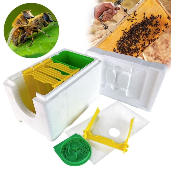 NOVELAR Compact Queen Bee Hive Box, 5.8 in Tall, Easy-Use Insulated Design, For Limited Space Beekeeping Enthusiasts