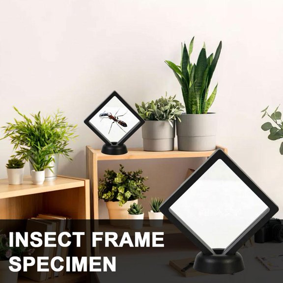 NOVELAR Framed Insect Collection, 5x7 Inch Glass Display, Exquisite Natural History Art for Classroom Learning and Wall Decor