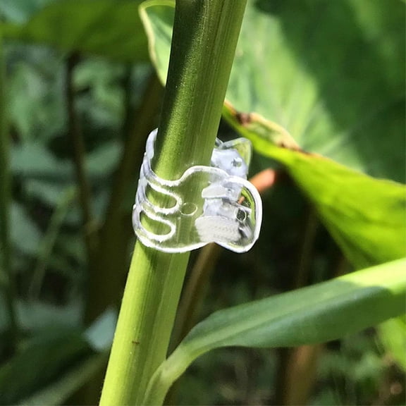 NOVELAR Multi-Purpose Garden Clips, 0.59 inch Size, Easy-Install Plastic Vines Clips, Perfect for Supporting Ivy, Grapes, and Other Climbing Plants