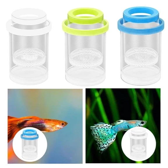 NOVELAR Plastic Floating Aquarium Box, 3.04 in Size, Reduces Bait Pollution and Optimizes Water Quality, Essential Tool for Fish Lovers and Hobbyists