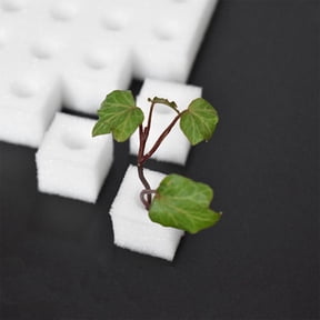 NOVELAR Seedling Starter Sponges, 100-Pack 1-Inch Square Cubes, Easy Soilless Cultivation Medium, Perfect for Hydroponic Systems and Indoor Gardening
