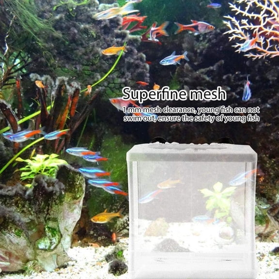 NOVELAR Suction Cup Aquarium Box, Two Sizes up to 10.2 Inches, Easy to Install and Remove for Cleaning, Ideal for Fish Breeding and Isolation in Tanks