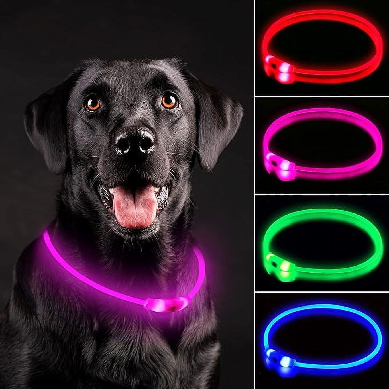 Waterproof glow in the dark store dog collar