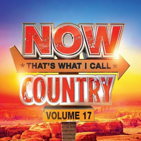 NOW Country 17 - Various Artists - Vinyl LP