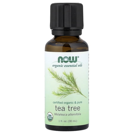 NOW Foods Organic Tea Tree Oil, 1 Fluid Ounce