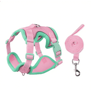 NOYAFA Dog Harness & Leash No Pull Puppy Harness for Small to Medium Dogs, Cats ,Reflective Adjustable Soft Padded D-Rings Pet Harness with Hook & Loop Fastener, Buckle （Purple XL）
