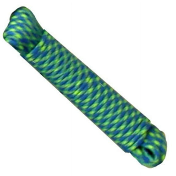 NPC1503250BG 0.16 in. x 50 ft. Nylon Paracord, Blue & Green