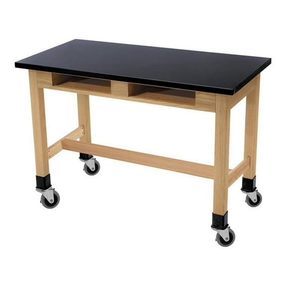 NPS 48" Modern Wood Science Lab Table with Book Compartments in Black