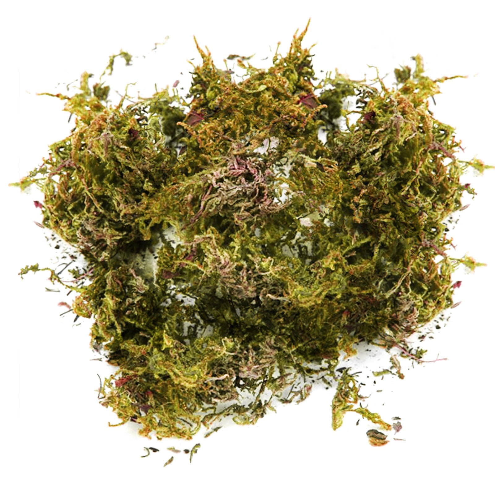 Great Choice Products Fake Moss, Artificial Fresh Green Moss for Wedding Centerpieces Garden Terrariums Decoration (8oz)
