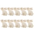 thumbnail image 1 of NSESSHome 10 Pcs Bunny Wooden Chicken Hanging Ornaments Wood Easter Tree Decorations Decorative Spring Rabbit Wooden Hanging Craft for Easter Spring Party Supplies, 1 of 8