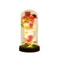 thumbnail image 1 of NSESSHome Christmas Flowers Rose Gifts for Women Preserved Rose in Glass Dome LED Light Forever Roses Xmas Gifts for Wife Women Mom Best Friend Girlfriend Grandma,Red Roses Gifts for Her, 1 of 7