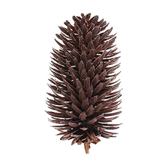 NSESSHome Christmas Pine Cones with String Mini Rustic Pinecones Bulk Ornaments for Xmas Tree Crafts Holiday Home Hanging Ornament Party Favor Fireplace Table Centerpiece