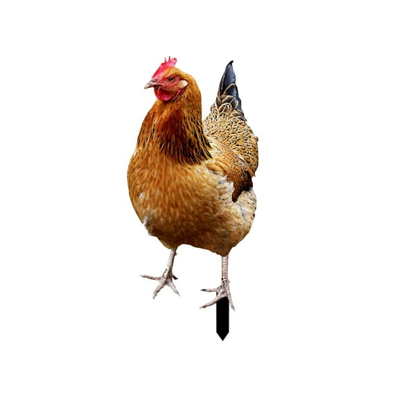 NSESSHome Chicken Lawn Stakes Realistic Chicken Statues Garden Yard Outdoor Arts Lawn Hen Inserts for Outdoor Gardens Backyards Lawns Chicken Garden Decor