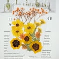 thumbnail image 1 of NSESSHome Natural Dried Flowers Combination DIY Dry Flower Decorative For Crafts Jewelry, 1 of 1