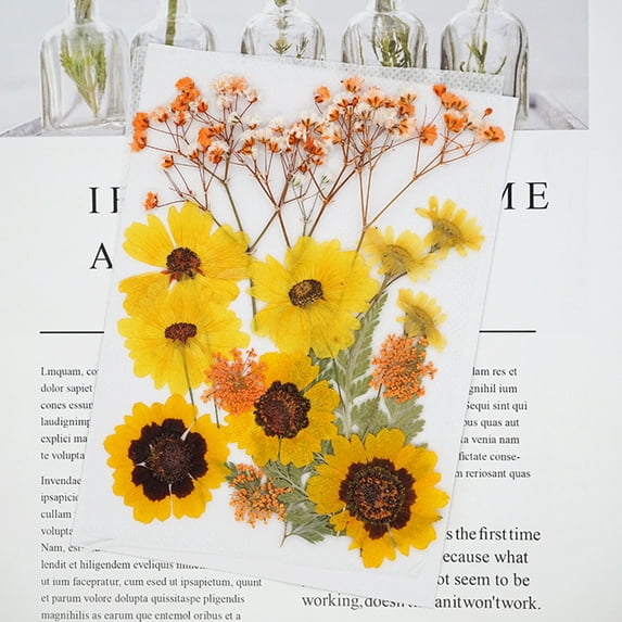 NSESSHome Natural Dried Flowers Combination DIY Dry Flower Decorative For Crafts Jewelry