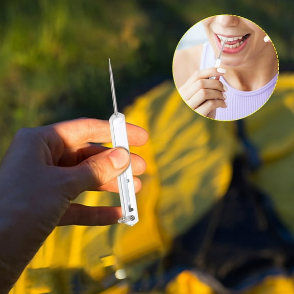 NSESSHome Portable Titanium Spring Toothpicks Metal Pocket Push-pull Toothpick Key Pendant for Outdoor Picnic Camping