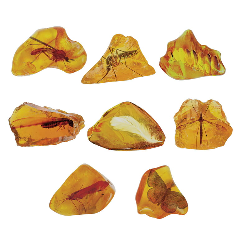 Amber  Geology Page